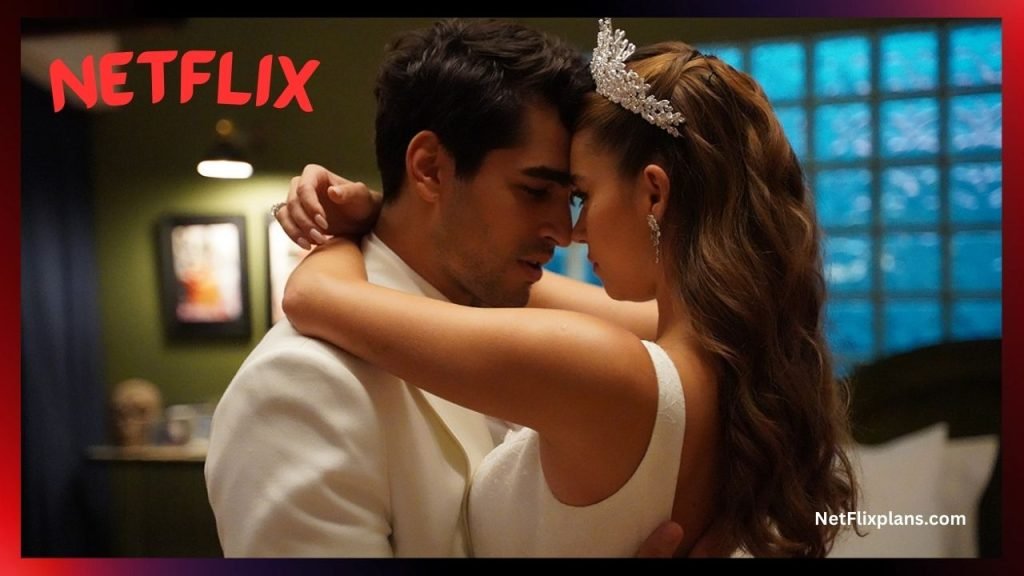 Yalı Çapkını Netflix
